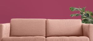 M336 Гибискус