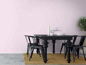 F339 Балетная пачка