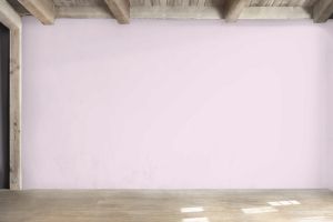 F339 Балетная пачка