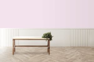 F339 Балетная пачка