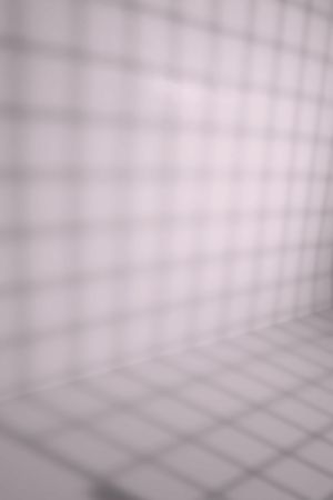 F339 Балетная пачка