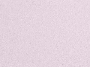 F339 Балетная пачка