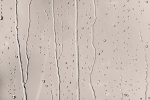 H480 Воскресенье