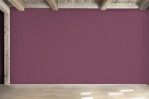 N339 Ренессанс