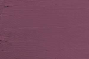 N339 Ренессанс