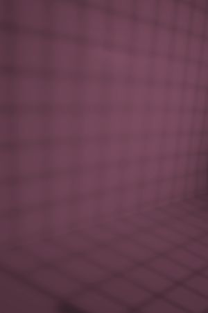 N339 Ренессанс