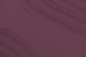 N339 Ренессанс