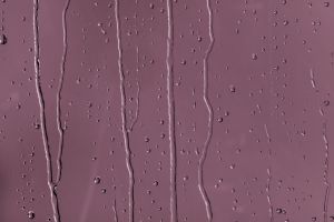 N339 Ренессанс