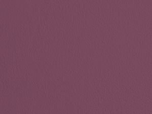 N339 Ренессанс