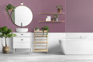 N339 Ренессанс