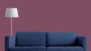 N339 Ренессанс