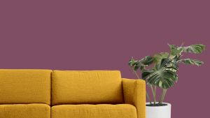 N339 Ренессанс