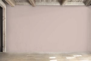 X477 Императрица