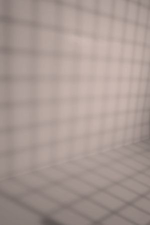 X477 Императрица