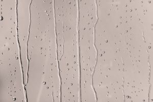 X477 Императрица