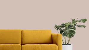 X477 Императрица