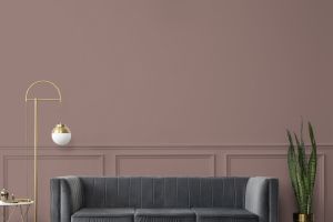 S417 Фокстрот