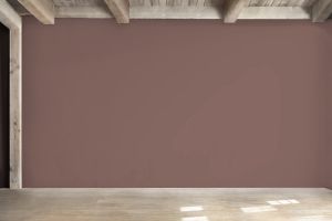 S417 Фокстрот