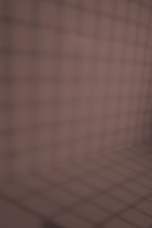 S417 Фокстрот