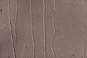 S417 Фокстрот