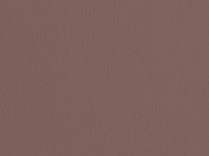 S417 Фокстрот