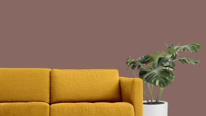 S417 Фокстрот