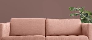 S417 Фокстрот