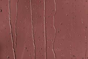 M419 Кайенский перец