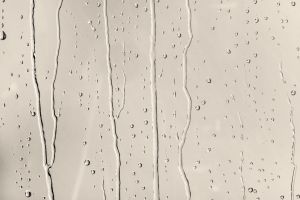 F466 Пергамент