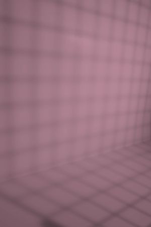 J424 Панорама