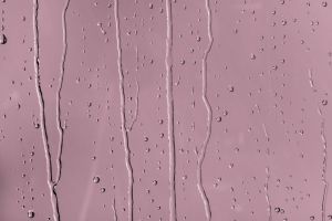 J424 Панорама