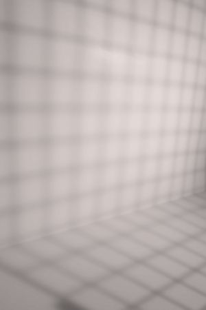 F479 Балерина