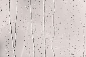 F479 Балерина