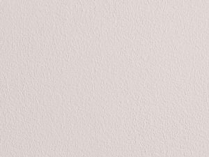 F479 Балерина