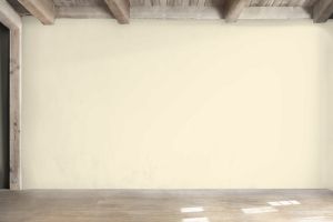 F302 Пармезан