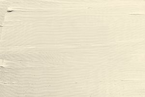 F302 Пармезан