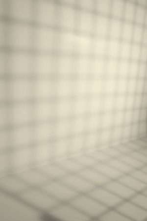 F302 Пармезан