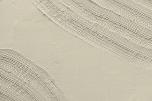 F302 Пармезан