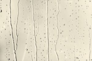 F302 Пармезан