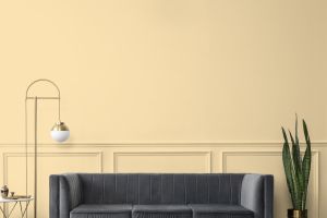 Y308 Гоголь-моголь