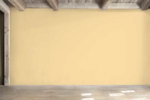 Y308 Гоголь-моголь