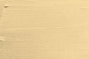 Y308 Гоголь-моголь