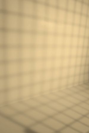 Y308 Гоголь-моголь