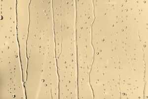 Y308 Гоголь-моголь