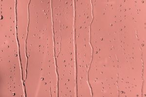 K319 Фламинго