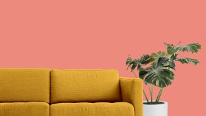 K319 Фламинго