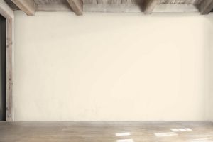 F307 Мягкое мороженое