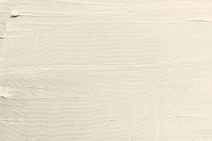 F307 Мягкое мороженое