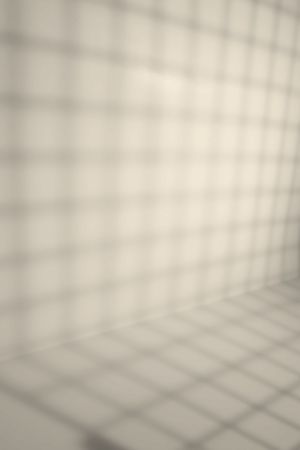 F307 Мягкое мороженое