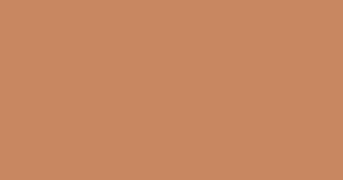 Колір V406 Урожай rgb(200, 135, 96)